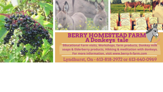 Berry Homestead logo