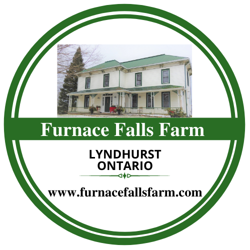 Furnace Falls Farm Logo