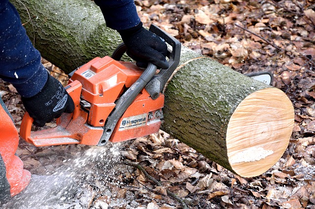cutting-wood