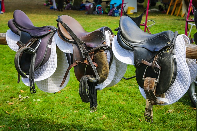 saddle-