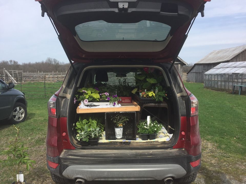 2023 Beyond the Arbour – Sneak a Peek Greenhouse Car Rally – Sunday May 7th