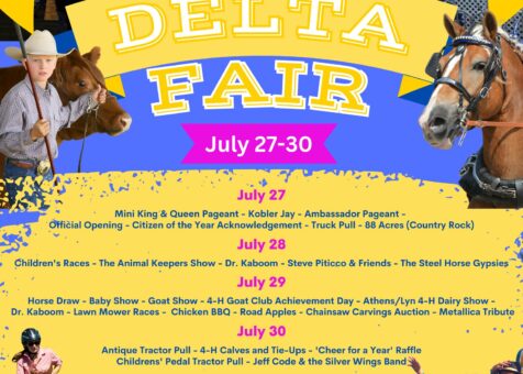 Delta Fair Poster