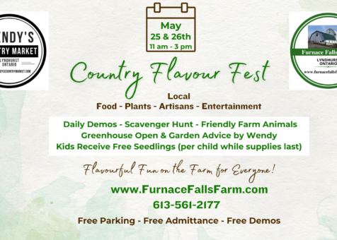 Country Flavour Fest Event Banner