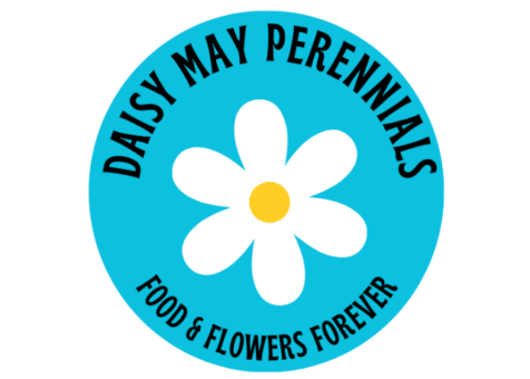 Daisy May Perennials