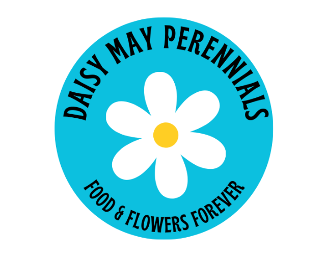 Daisy May Perennials