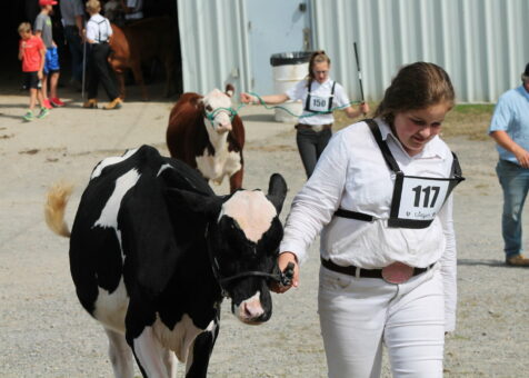 Spencerville fair – 4H