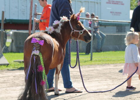 spencerville fair – horse