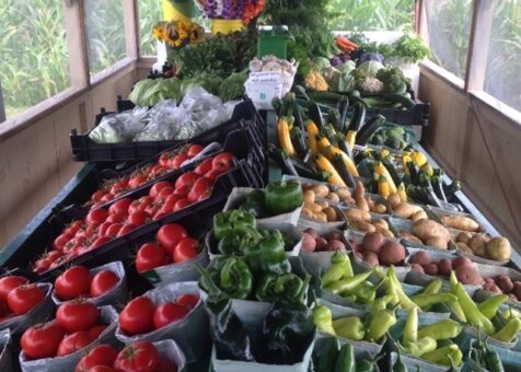 Forman Farm Stand