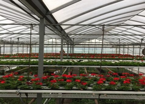 Forman Greenhouse