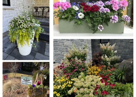Beyond arbour photo collage